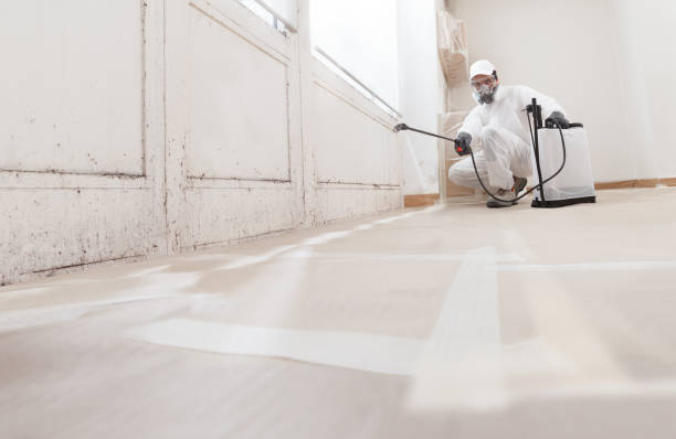 24/7 Emergency Commercial Mold Remediation experts in Annandale, VA