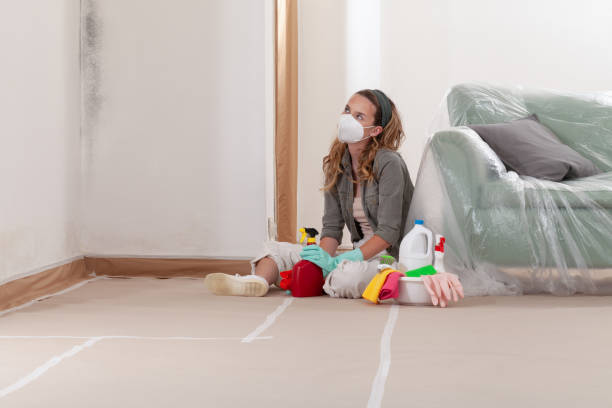 Reliable Commercial Mold Remediation contractor in Annandale, VA by Car Mold Remediation