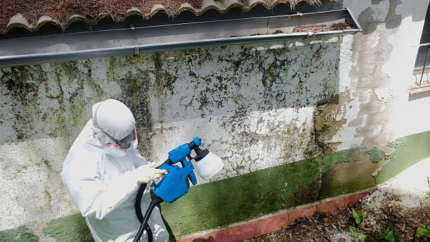 Top rated local Commercial Mold Remediation specialists in Annandale, VA
